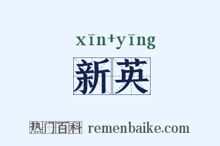 新英是什么意思的图片